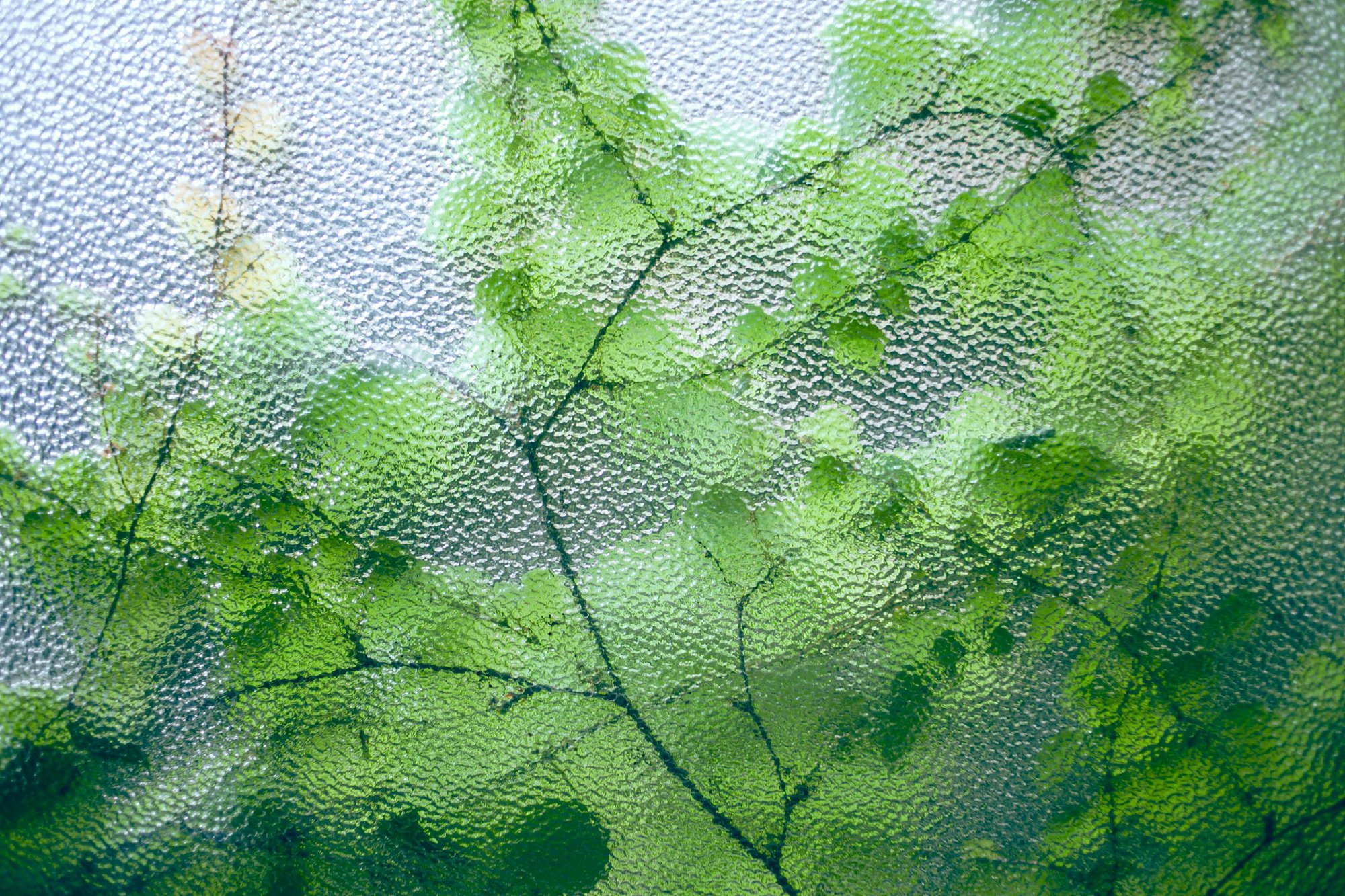 Textured Glass: Transforming Light, Mood, and Interior Atmospheres cover